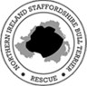 Northern Ireland Staffordshire Bull Terrier Rescue